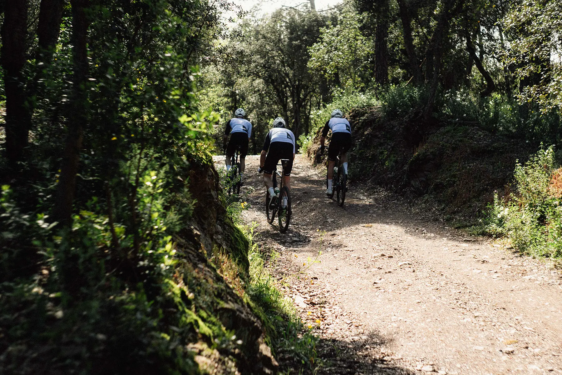 From Lines to Horizons