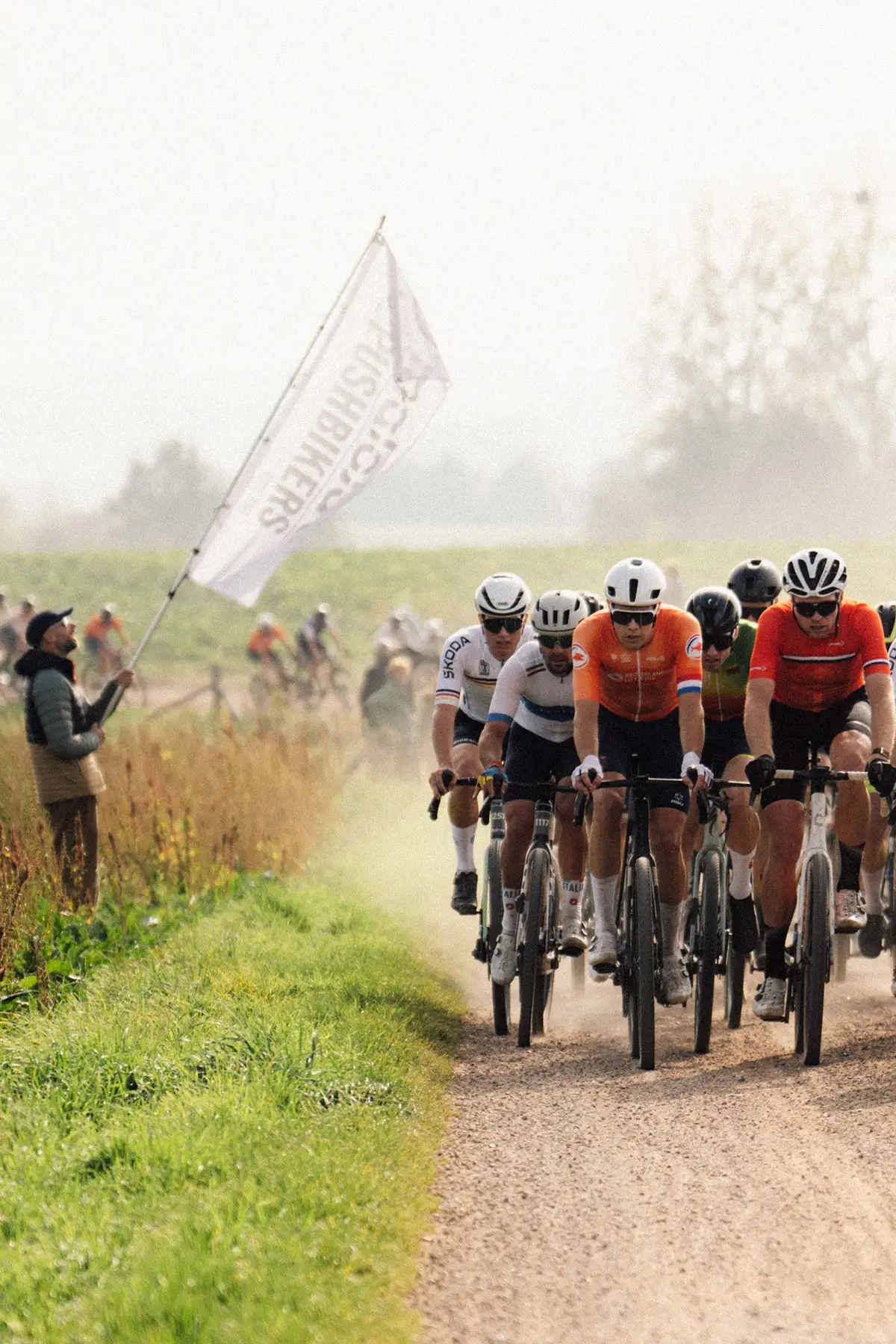 CROP_20190104-Flag-01-3